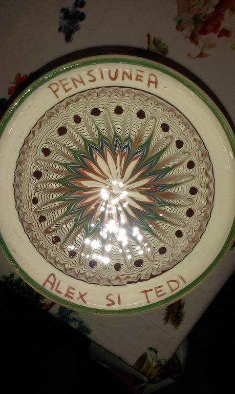 Pensiunea Alex Si Tedi Horezu Zewnętrze zdjęcie