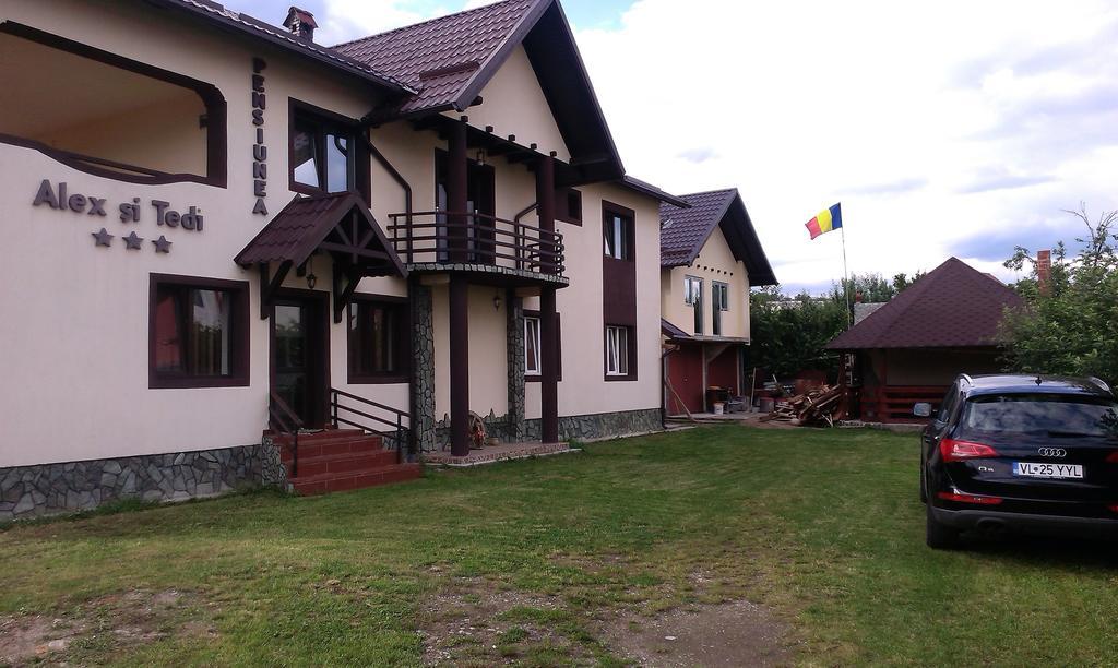Pensiunea Alex Si Tedi Horezu Zewnętrze zdjęcie